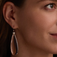 Load image into Gallery viewer, ICE earrings