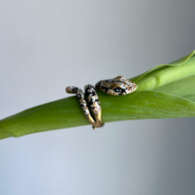 Load image into Gallery viewer, ORIGINAL SIN ring
