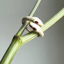 Load image into Gallery viewer, WHITE DUALITY ring
